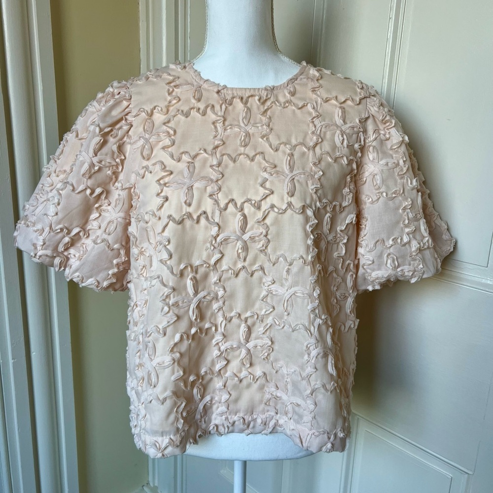 Pink Ruffle Blouse with Black Ribbon Ties - Picture 2 of 6